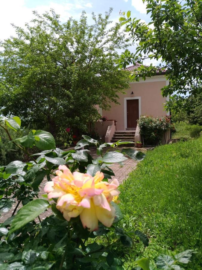 Bed and breakfast L'antico Gelso Viggiano