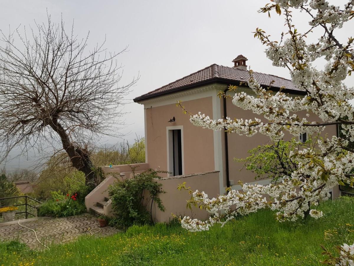 Bed and breakfast L'antico Gelso Viggiano