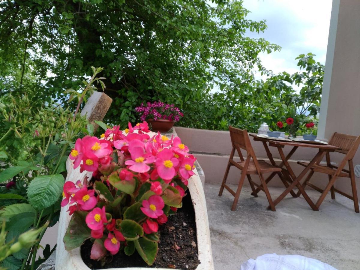 L'antico Gelso Bed and breakfast Viggiano
